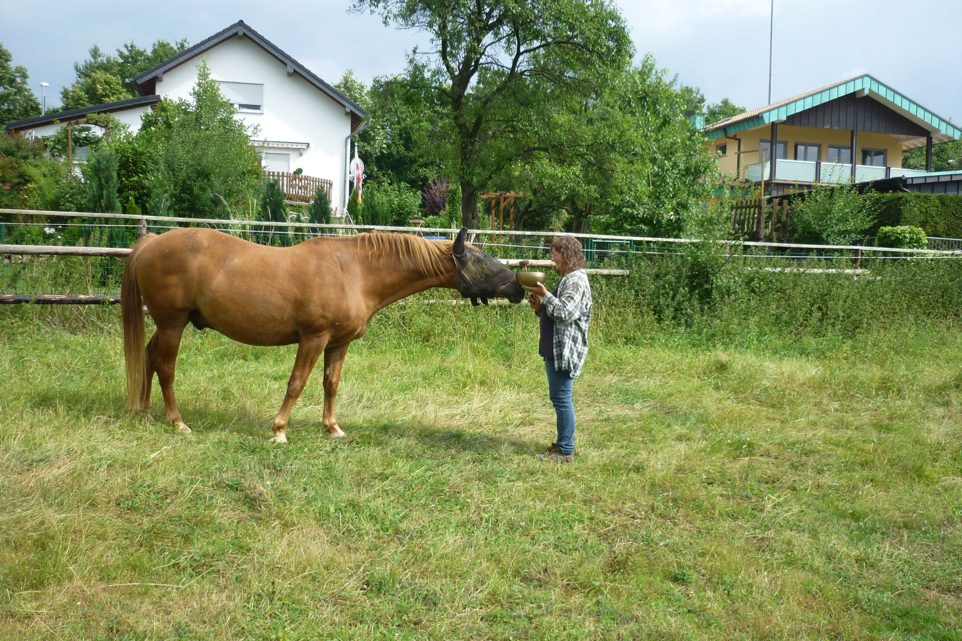 Daniela Gröll mit Pferden - FRAUEN kaufen bei FRAUEN