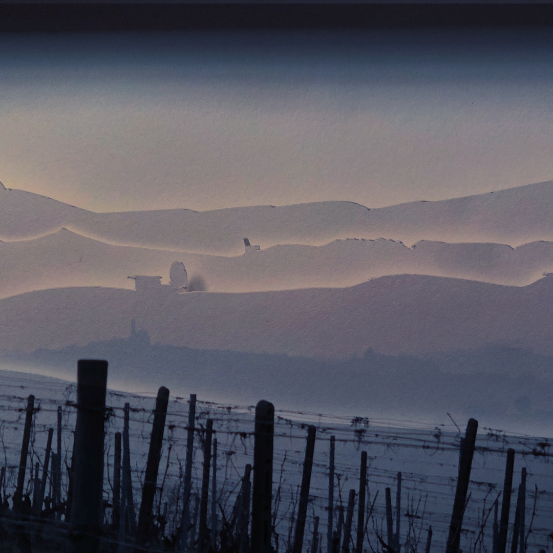 Ausblick aus Sicht von Marianne Schmid