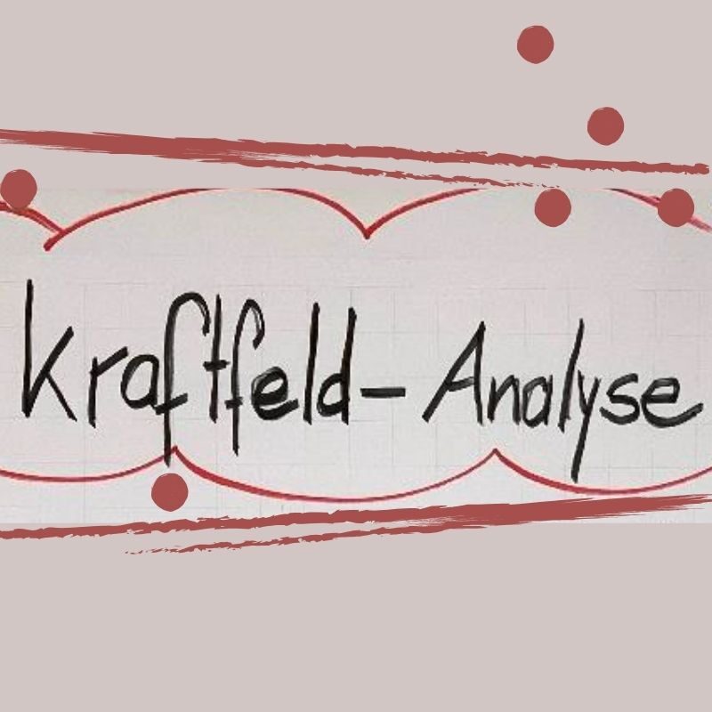 Kraftfeld-Analyse Sabine Eck Kraftfeld-Analyse Sabine Eck
