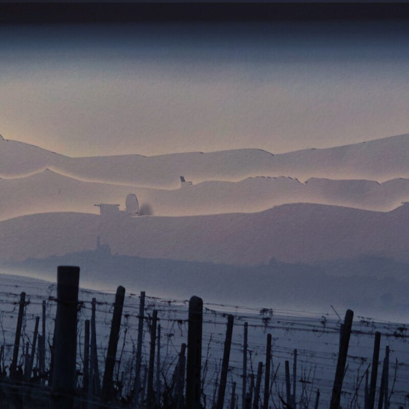 Marianne Schmid_4 Ausblick aus Sicht von Marianne Schmid